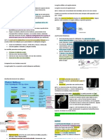 Para Examen 3 Malaco-1