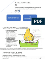 Bases Moleculares Aldo