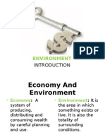 Economic Environment