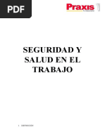 Seguridad y Salud en El Trabajo