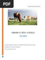 Formato Examen Produccion Animal