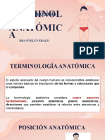 Planos, Ejes, Cuadrantes, Terminologia Anatomica Clase 3