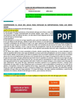 EVALUACION DE SUBSANACION C.T. QUINTO 2022 Paredes Ruiz