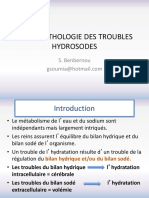 Troubles Hydrosodes