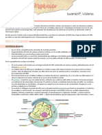 Nucleo Interfasico + Conceptos Generales - Iwaniloff