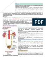 Pielonefritis Aguda y Cronica