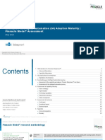 Everest Group Enterprise Intelligent Automation IA Adoption Maturity Pinnacle Model Assessment