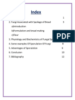 Sporulation in Fungi