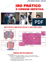 Roteiro Prático - Hepatites e Cirrose Hepática