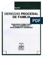 Derecho Procesal de Familia. Principios Formativos - Eduardo Jara Castro