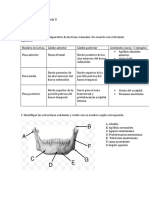 Laboratorio 3