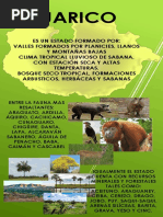 Infografía Guárico 