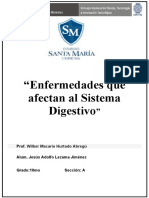 10 Enfermedades Al S.Digestivo