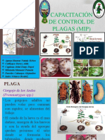 Capacitación de Control de Plagas (Mip)