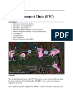 Electron Transport Chain