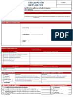 Descriptor de Gerente de Planificación y Desarrollo Estrategico