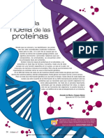 Tras La Huella de Las Proteínas