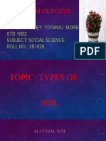 Types of Soils