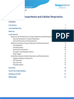 BIO UNIT 10.1 (Study Guide)