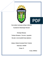 Resumen - Necrosis y Apoptosis - Patologia Humana - Benites Escalante