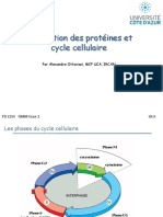 Correction TD L1SV Cycle2021