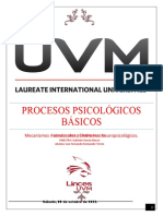 Mecanismos Atencionales y Síndromes Neuropsicológicos