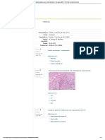 Examen Final Histologia