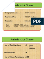 Ambala at A Glance