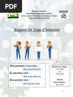 Rapport de Stage D'initiation