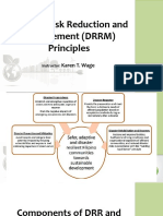 Lesson 6 Role of Youth To Disaster Risk Management