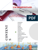 Calcium Homeostasis