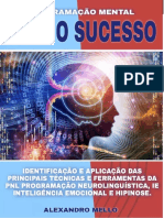 Programação Mental para o Sucesso