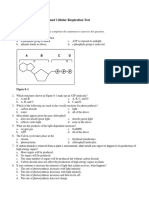 Chapter 8 & 9 Photosynthesis and Cellular Respiration Test: Multiple Choice