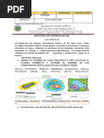 Ref de CC - NN 8vo 7-Nov-22