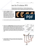 Evidence For Evolution Guided Inquiry Worksheet