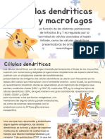 CD y Macrofagos