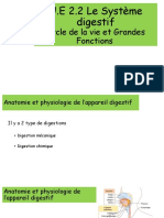 Anatomie Et Physiologie de Lappareil Digestif Alex