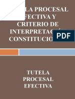 Tutela Procesal Efectiva-Alvaro Gastelu