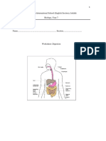 Digestion Worksheet