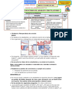 El Sistema Circulatorio