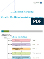 Lecture 3 - The Global Marketing Environment-Final 2122