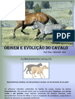 Origem Do Cavalo