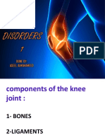 5 - Knee Disorders