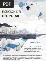 Oso Polar