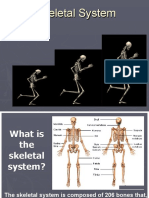 Skeletal System PowerPoint