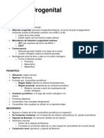 Sistema Urogenital