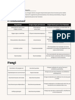 5 Ejemplos Del Reino Fungi y Protoctistas