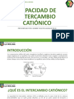 Cap-7-Capacidad de Intercambio Catiónico