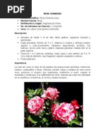 Album Rosas Nombre Cientifico