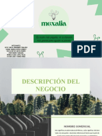 Mexalia Diapositivas